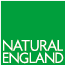 NE Logo